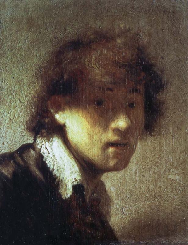  Self-Portrait as a Young Man